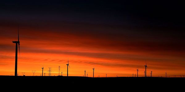 風電的副作用還真沒這么大 風電的副作用還真沒這么大